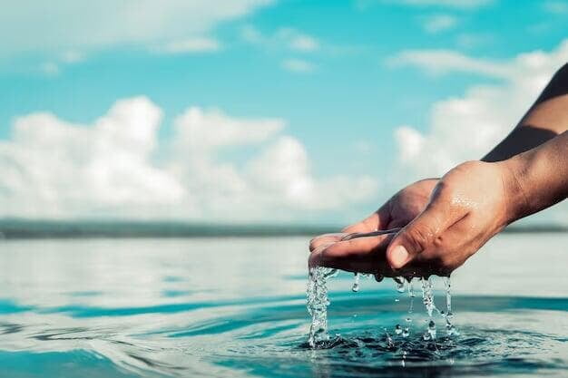 How Digitalization is Transforming Water Management: Tackling Scarcity, Quality, and Efficiency with Technology